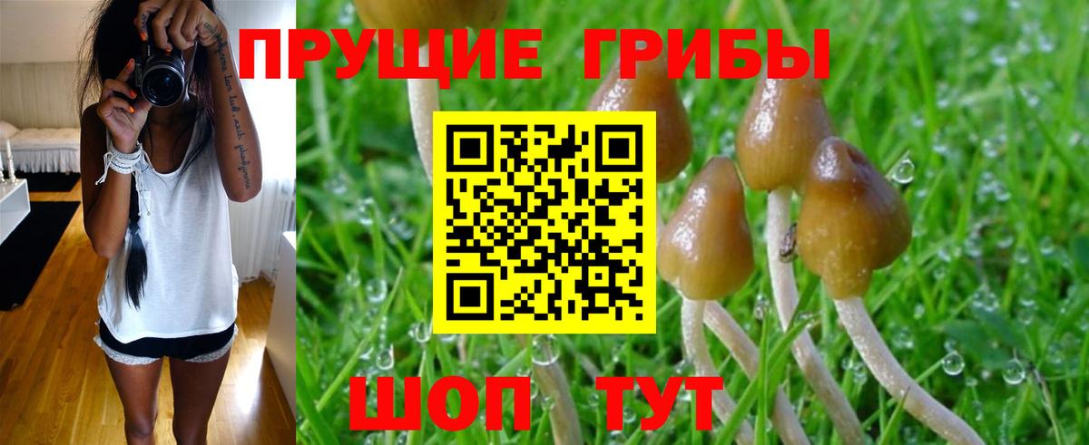 Галлюциногенные грибы мицелий  Псилоцибиновые грибы MAGIC MUSHROOMS  Вход с VPN  Шелехов 